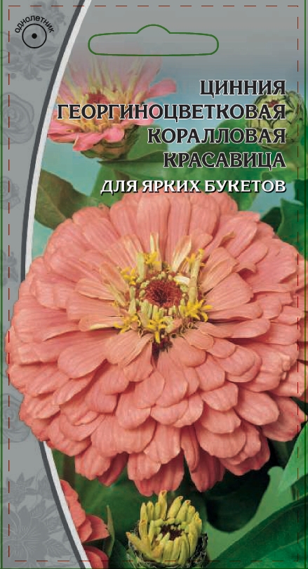 Цинния георгиноцветковая Коралловая красавица 0,5 гр АгроСемФонд