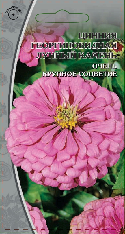 Цинния георгиновидная Лунный камень 0,5 гр АгроСемФонд