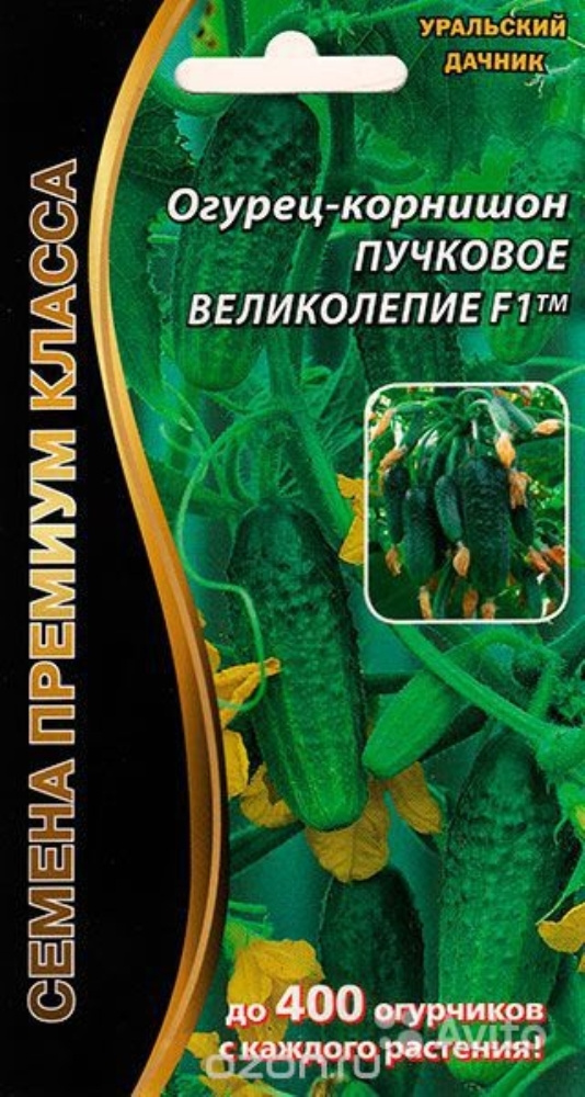Огурец Пучковое Великолепие F1 (УД) 5 шт цв.п АгроСемФонд