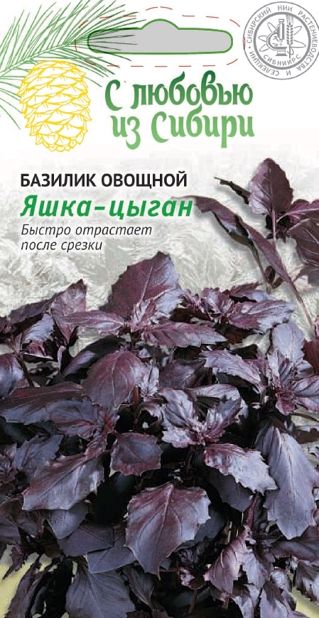Базилик овощной Яшка-Цыган (Сибирская серия ) 0,3 гр цв.п. АгроСемФонд