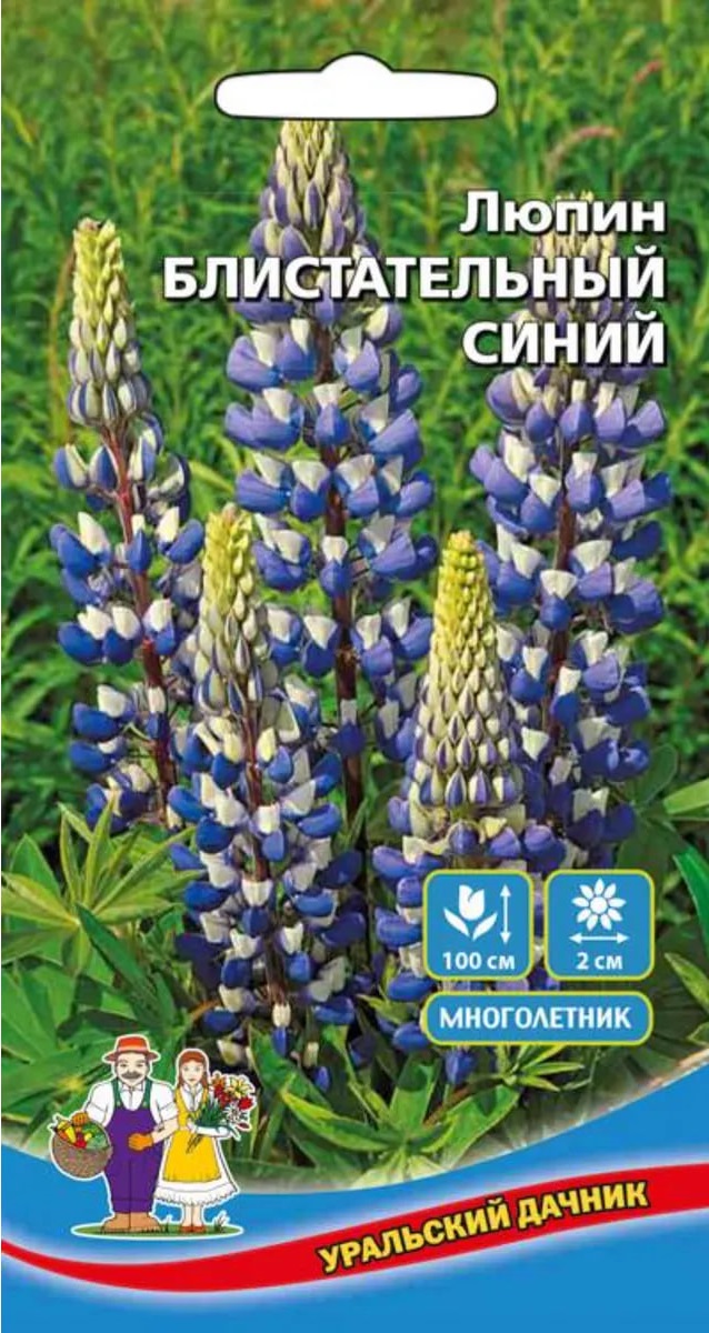 Люпин Блистательный синий (УД) 10 шт цв.п. АгроСемФонд