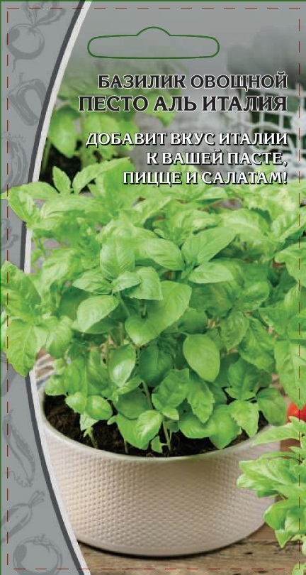 Базилик овощной Песто аль Италия 0,5 гр цв.п. АгроСемФонд