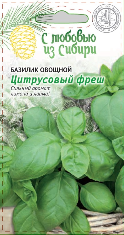 Базилик овощной Цитрусовый фреш (Сибирская серия) 0,3 гр цв.п. АгроСемФонд