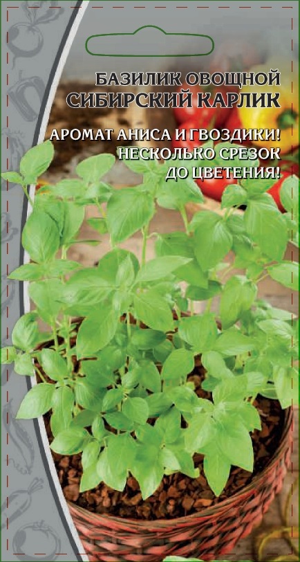 Базилик овощной Сибирский карлик 0,5 гр цв.п. АгроСемФонд