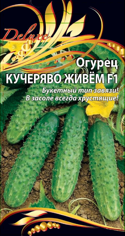 Огурец Кучеряво живем F1 0,25 гр цв.п. АгроСемФонд