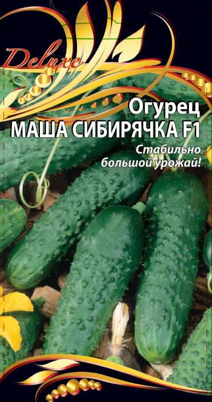 Огурец Маша Сибирячка F1 0,25 гр цв.п. АгроСемФонд