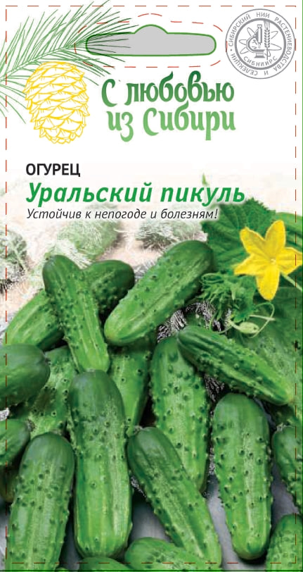 Огурец Уральский пикуль 0,25 гр цв.п. (Сибирская серия) АгроСемФонд
