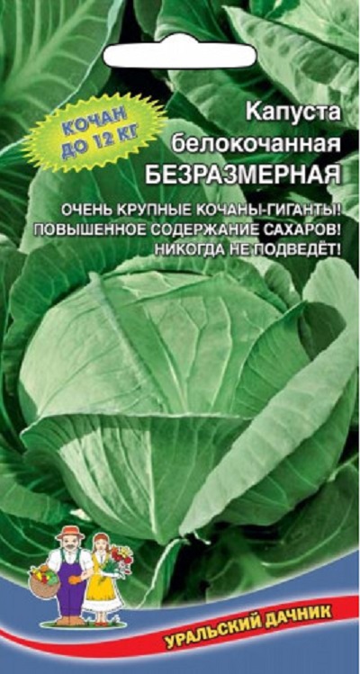 Капуста белокочанная Безразмерная (УД) 0,3 гр цв.п. АгроСемФонд