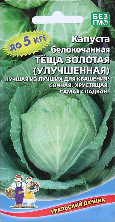 Капуста белокочанная Теща золотая (улучшенная) (УД) 0,3 гр цв.п. АгроСемФонд