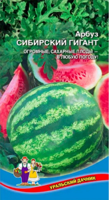 Арбуз Сибирский Гигант (УД) 10 шт цв п АгроСемФонд
