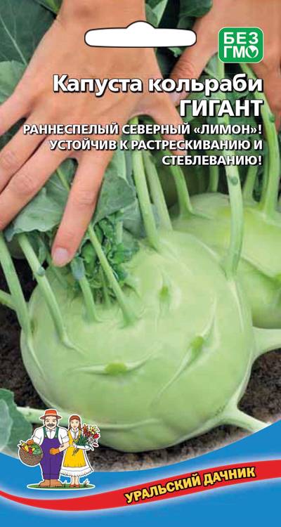 Капуста кольраби Гигант (УД) 0,25 гр цв.п. АгроСемФонд