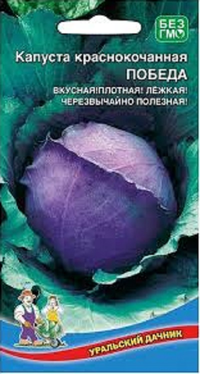 Капуста краснокочанная Победа (УД) 0,25 гр цв.п. АгроСемФонд