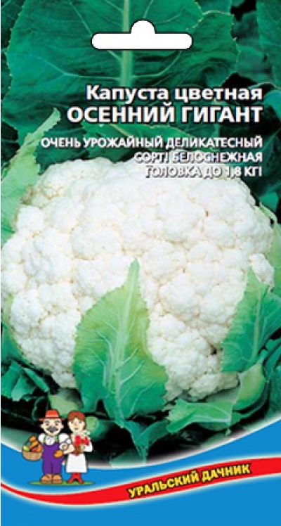 Капуста цветная Осенний гигант (УД) 0,25 гр. цв.п. АгроСемФонд