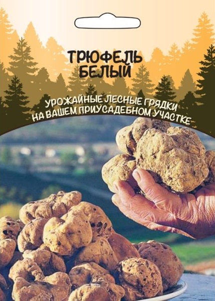 Грибы Трюфель белый (УД) 30 мл/15 гр цв.п АгроСемФонд