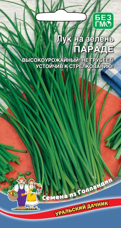 Лук на зелень Параде (УД) 0,25 гр цв.п. АгроСемФонд
