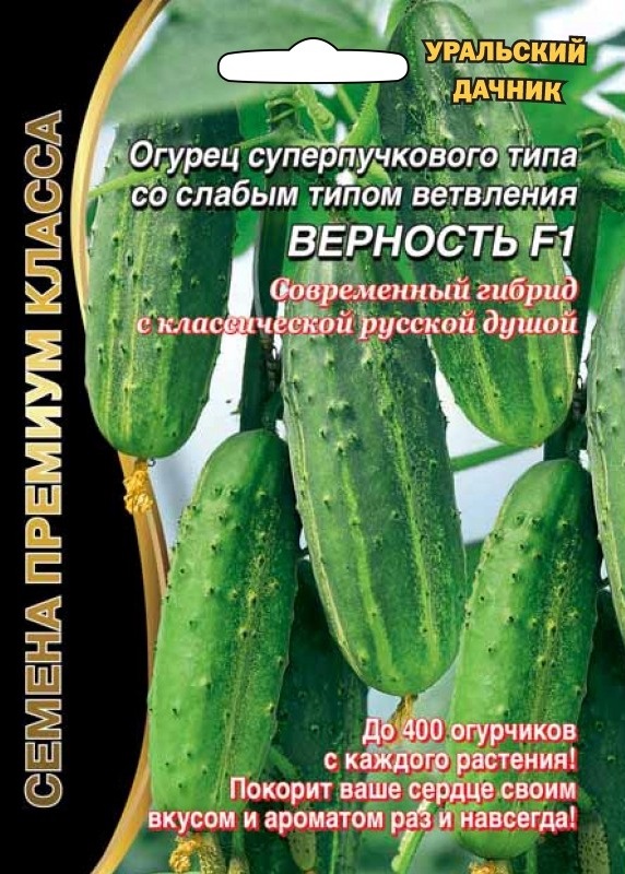 Огурец Верность F1 (УД) 7 шт цв.п АгроСемФонд