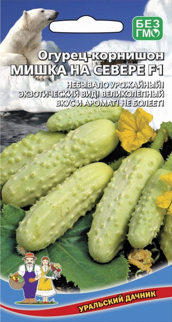Огурец Мишка на Севере - корнишон F1 (УД) 12 шт АгроСемФонд