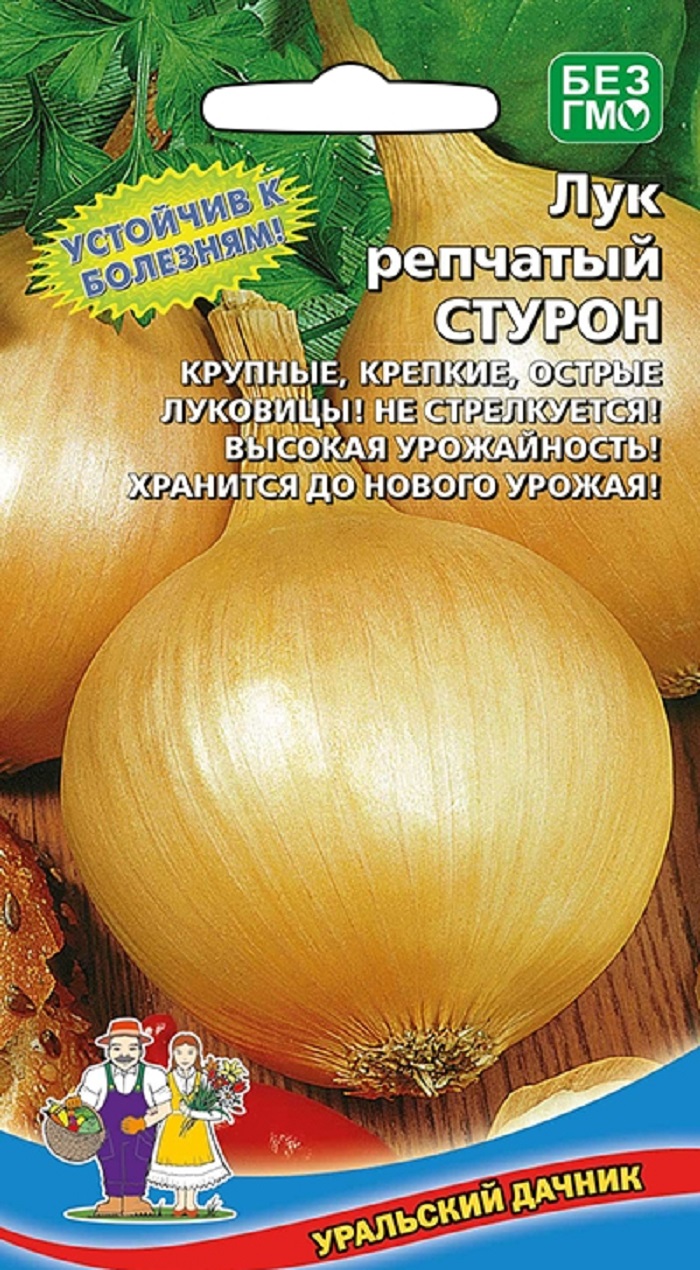 Лук репчатый Стурон (УД) 0,25 гр. цв.п. АгроСемФонд