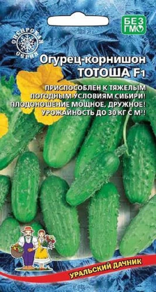 Огурец Тотоша - корнишон F1 (УД) 10 шт АгроСемФонд