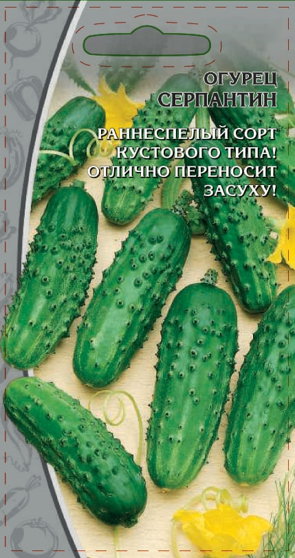 Огурец Серпантин 0,25  цв.п. АгроСемФонд