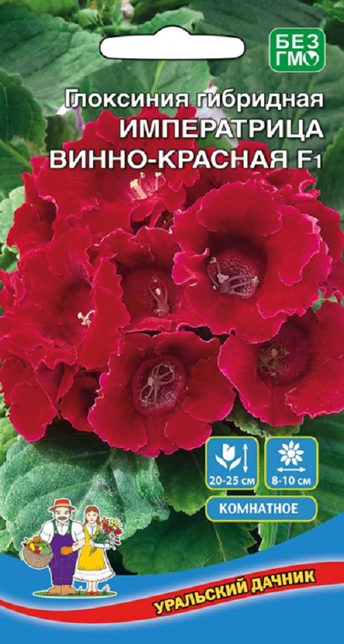 Глоксиния Императрица Винно-красная - гибридная F1 (УД) цв.п 5 шт АгроСемФонд
