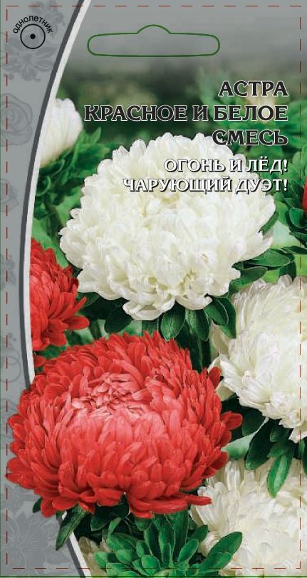 Астра Красное и Белое смесь 0,2 гр АгроСемФонд