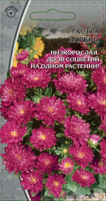 Астра обильноцветущая Зарево 0,2 гр АгроСемФонд