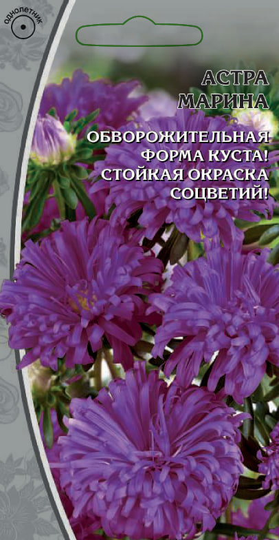 Астра обильноцветущая Марина 0,2 гр АгроСемФонд