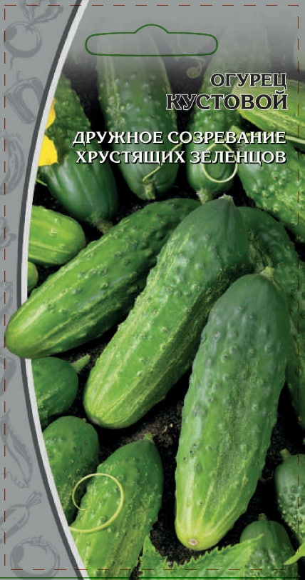 Огурец Кустовой 0,25 гр цв.п. АгроСемФонд