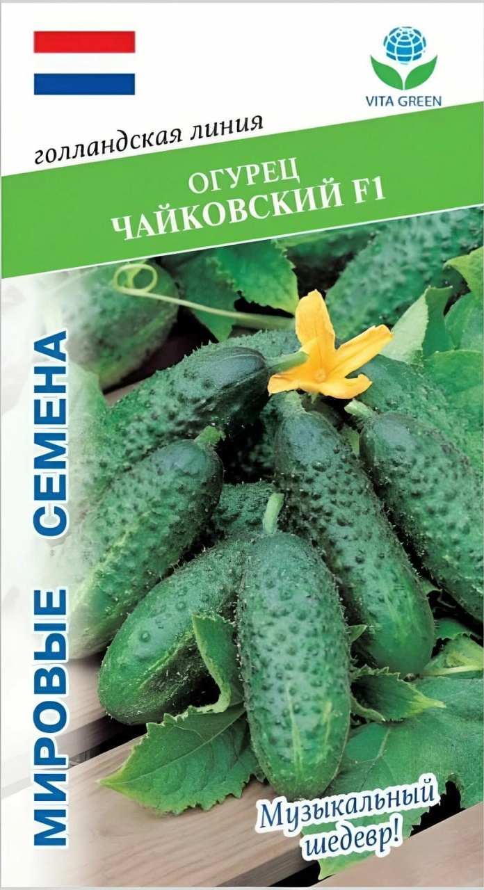 Огурец Чайковский F1 (Rijk Zwaan) 7шт цв.п. АгроСемФонд