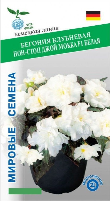 Бегония клубневая Нон-стоп Джой Мокка F1 белая (Benary) 5 шт АгроСемФонд