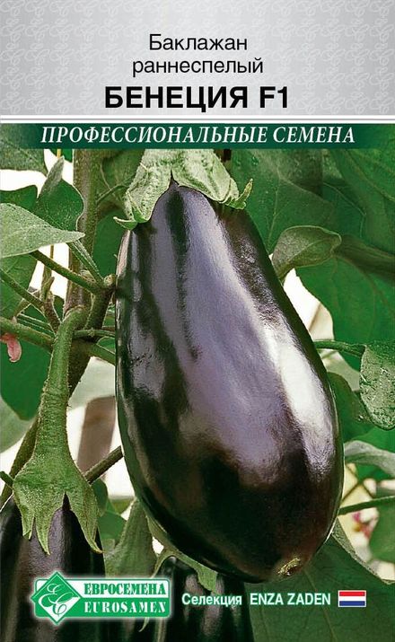 Баклажан Бенеция F1 (Enza Zaden) 7шт цв.п. АгроСемФонд