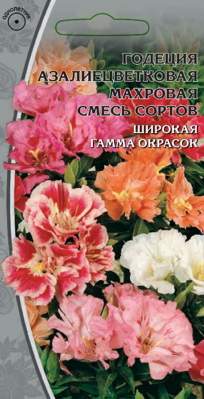 Годеция Азалиецветковая махровая смесь сортов 0,3 гр АгроСемФонд