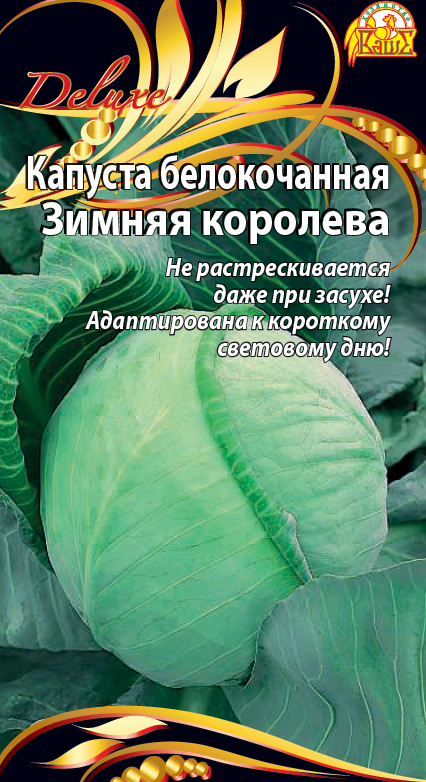 Капуста белокочанная Зимняя королева (Селекция "ВХ") 0,3 гр цв.п. АгроСемФонд