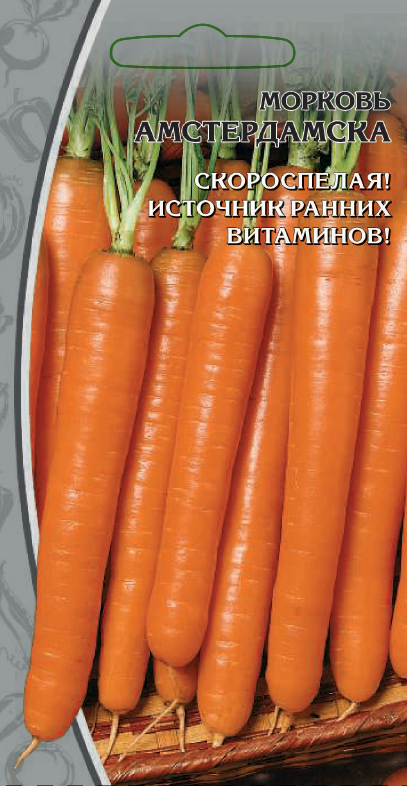 Морковь Амстердамска 2 гр цв.п. АгроСемФонд