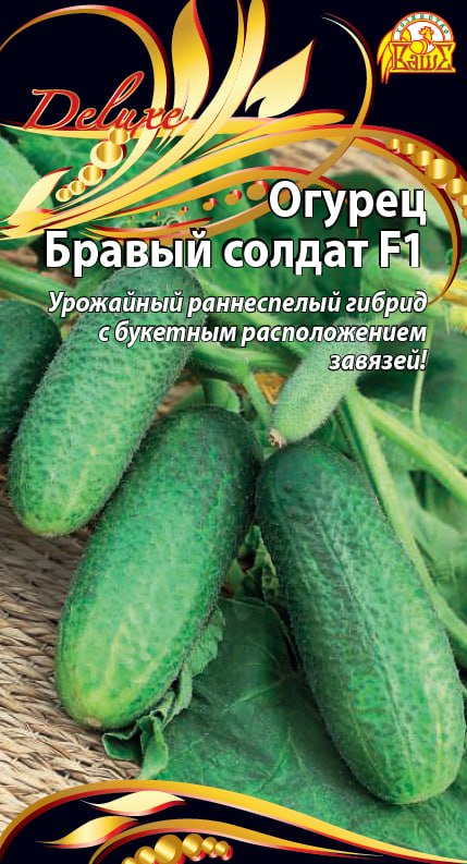 Огурец Бравый Солдат F1 (Селекция "ВХ") 0,25 цв.п АгроСемФонд