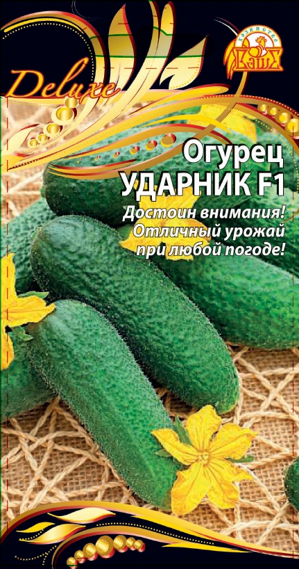 Огурец Ударник F1 (Селекция "ВХ") 0,25 гр цв.п. АгроСемФонд