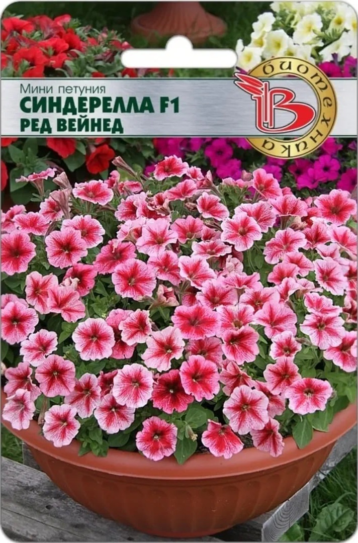 Петуния мини Синдерелла F1 Ред Вейнед 15 шт АгроСемФонд