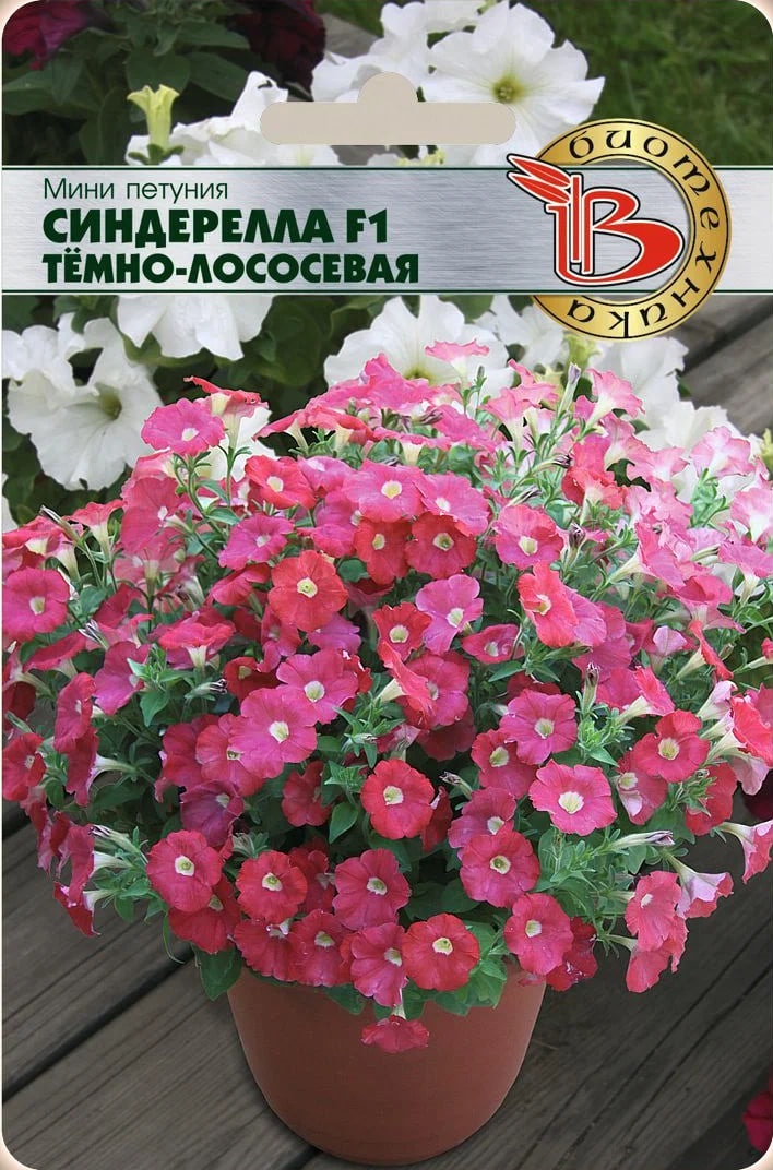 Петуния мини Синдерелла F1 Темно-Лосесевая 15 шт АгроСемФонд