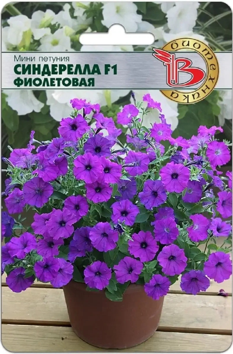 Петуния мини Синдерелла F1 Фиолетовая 15 шт АгроСемФонд