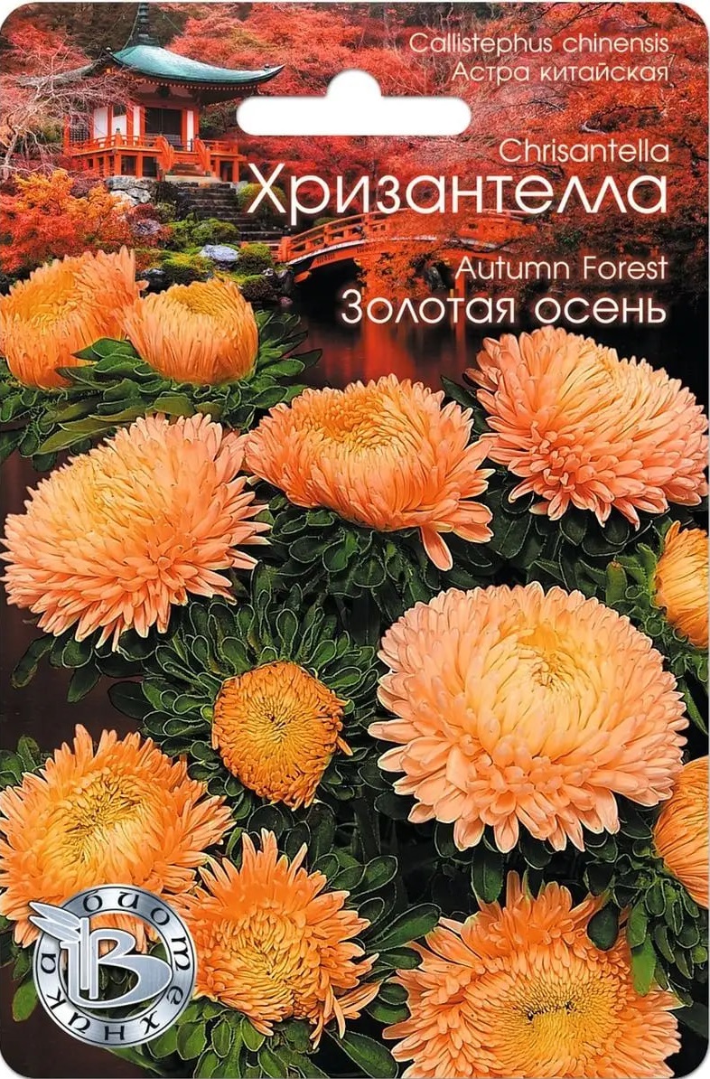 Астра Хризантелла Золотая осень 30 шт АгроСемФонд