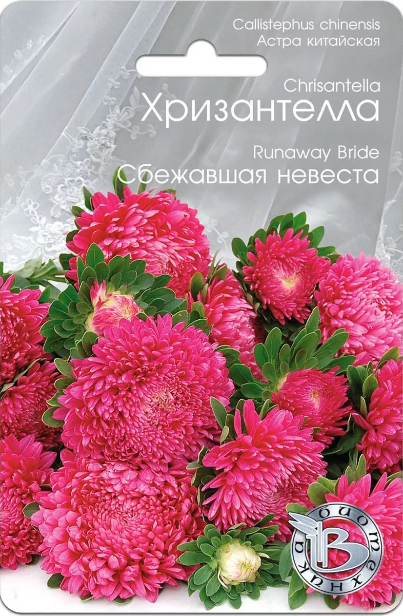 Астра Хризантелла Сбежавшая невеста 30 шт АгроСемФонд
