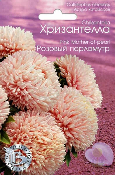 Астра Хризантелла Розовый перламутр 30 шт АгроСемФонд