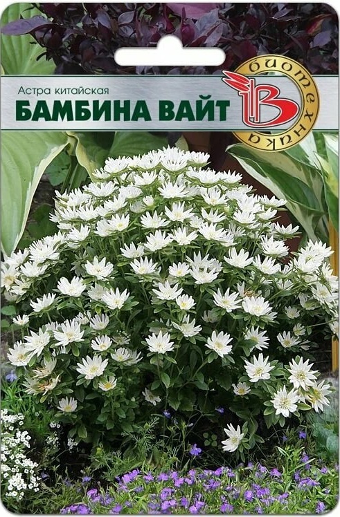 Астра Бамбина Вайт 20 шт АгроСемФонд