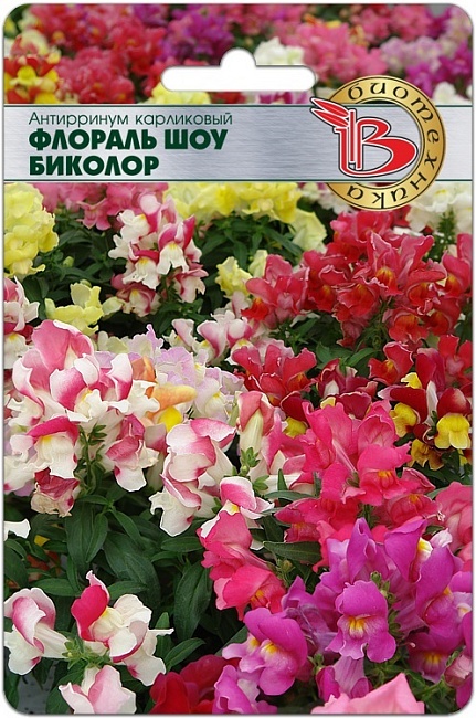 Львиный зев (антирринум) карликовый Флораль Шоу Биколор 20 шт АгроСемФонд