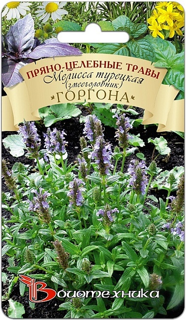 Мелисса турецкая (змееголовник) Горгона 0,3 гр АгроСемФонд