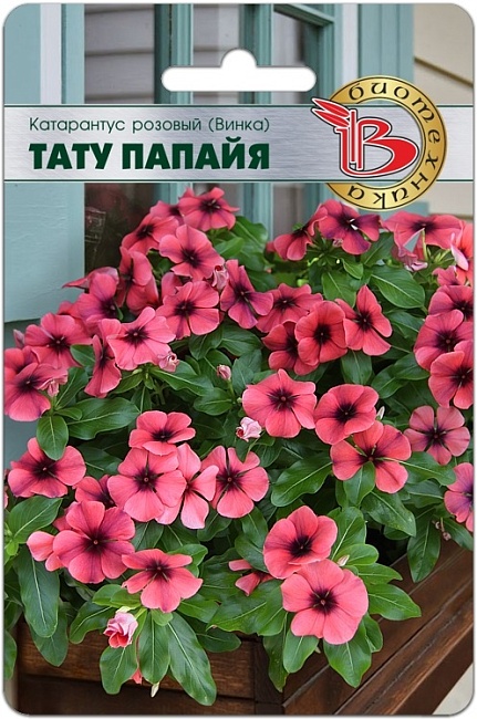 Катарантус розовый (Винка) Тату Папайя 8 шт АгроСемФонд