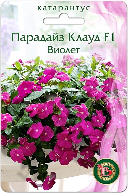 Катарантус Парадайз Клауд F1 Виолет 5 шт АгроСемФонд