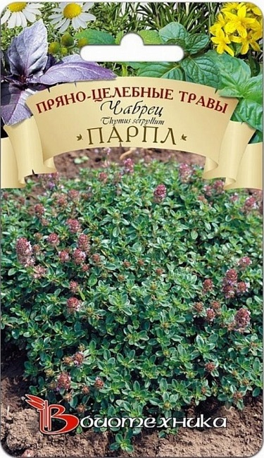 Чабрец Парпл 0,05 гр АгроСемФонд
