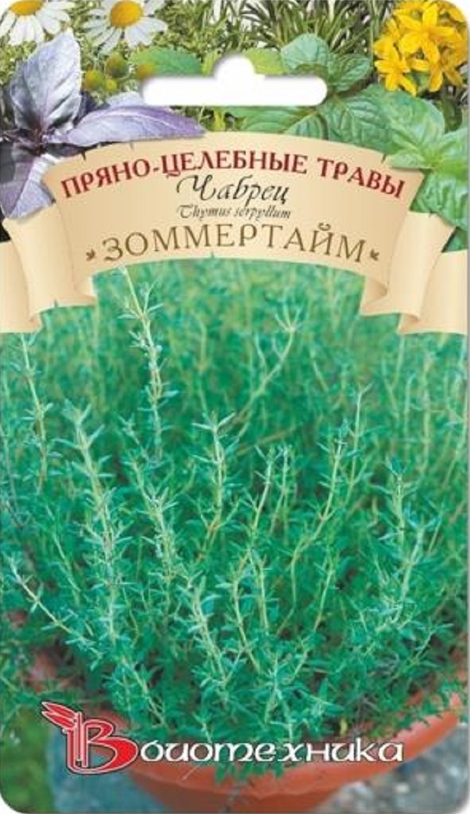Чабрец Зоммертайм 0,05 гр АгроСемФонд